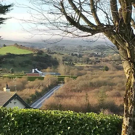 Mick's * Loughrea