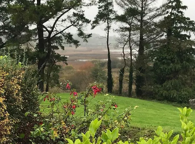 Mick's Nyaraló Loughrea