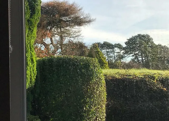 Nyaraló Mick's Loughrea